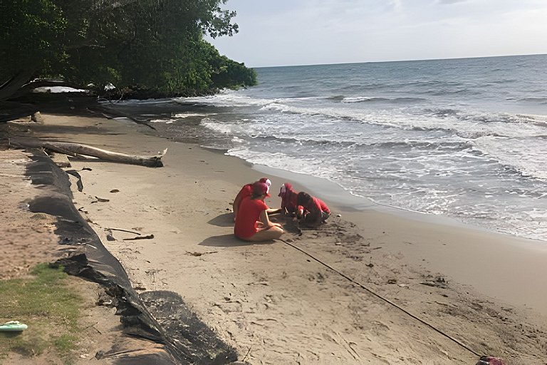 Your beachfront home in Tolú awaits you