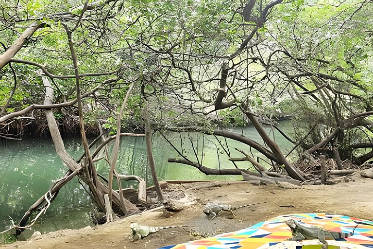 Apartamento playa del Rodadero parqueadero gratis